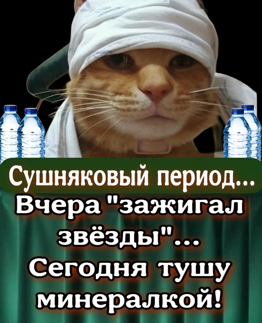 Сушняковый период...
Вчера 