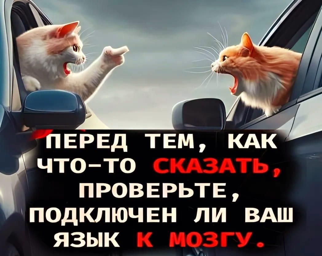 ПЕРЕД ТЕМ, КАК ЧТО-ТО СКАЗАТЬ, ПРОВЕРЬТЕ, ПОДКЛЮЧЕН ЛИ ВАШ ЯЗЫК К МОЗГУ.