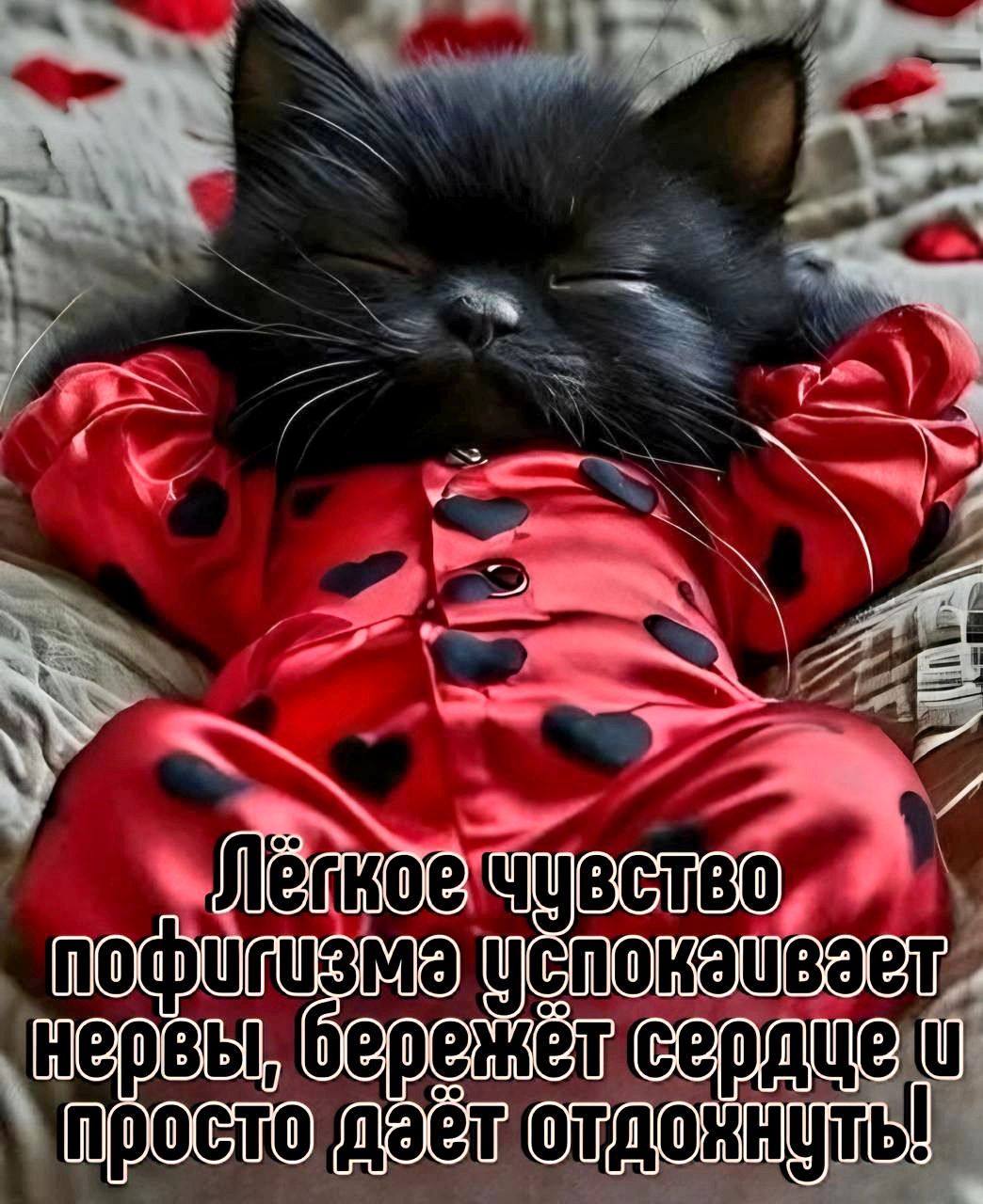 Лёгкое чувство пофигизма успокаивает нервы, бережёт сердце и просто даёт отдохнуть!