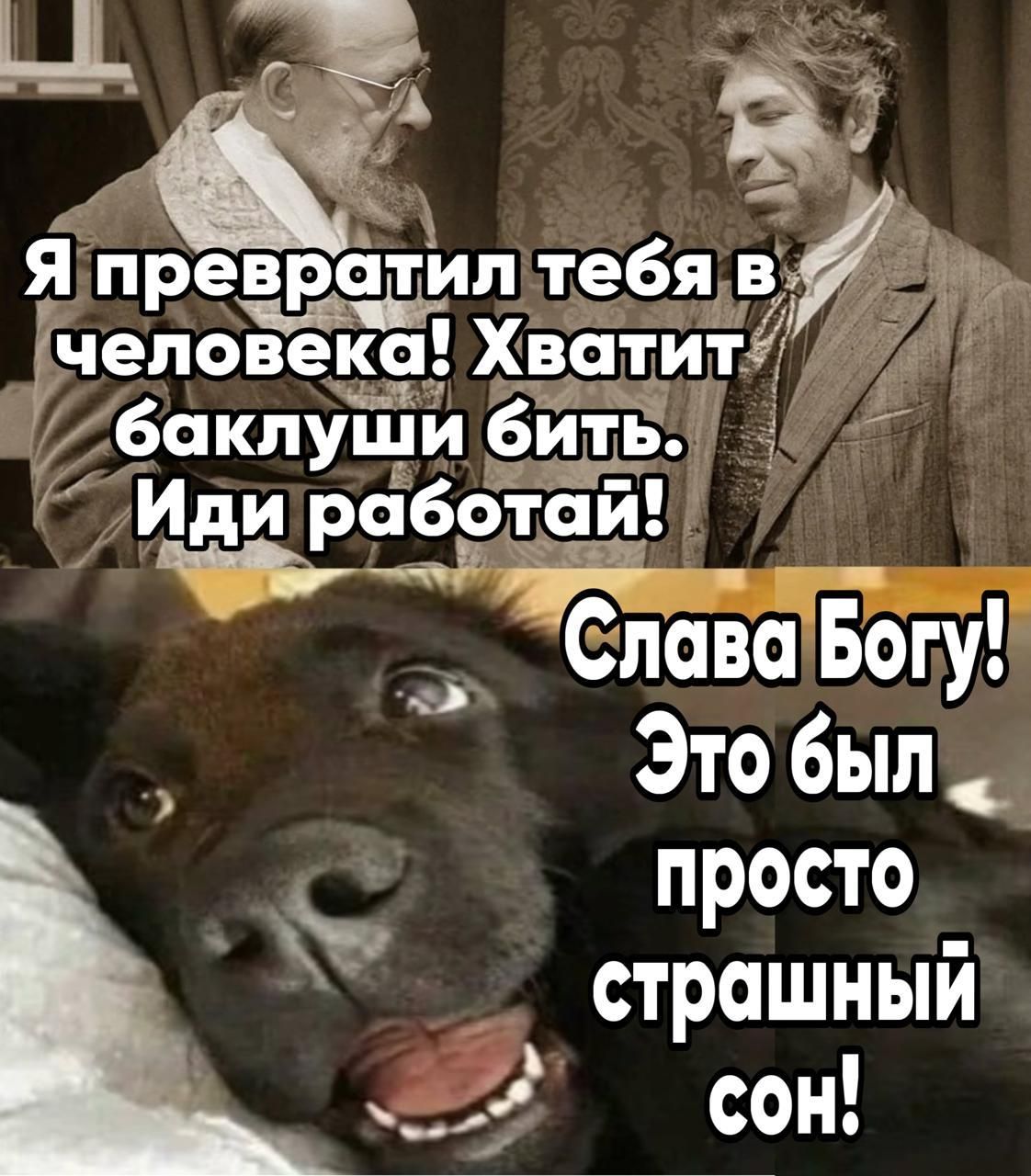 Я превратил тебя в человека! Хватит баклуши бить. Иди работай!
Слава Богу! Это был просто страшный сон!