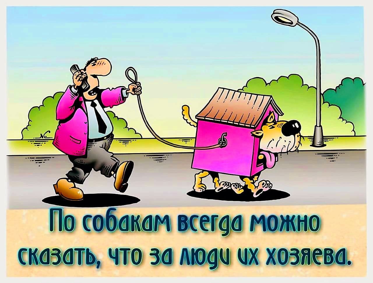 По собакам всегда можно сказать, что за люди их хозяева.