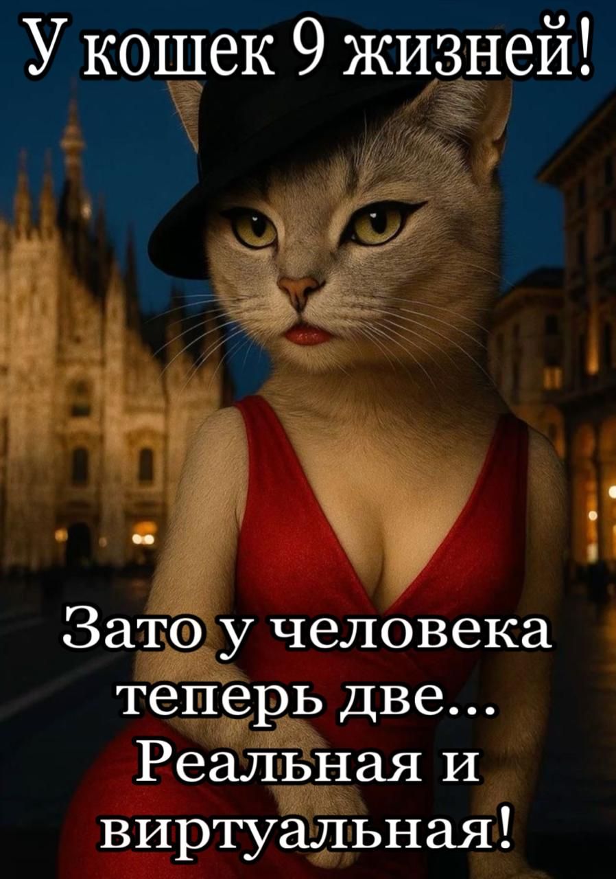 У кошек 9 жизней! Зато у человека теперь две... Реальная и виртуальная!