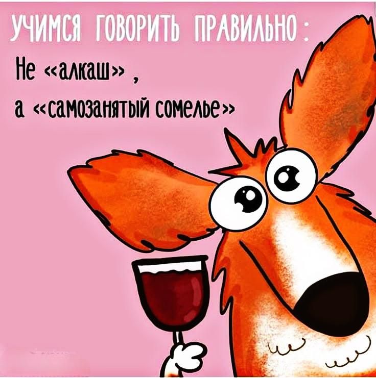 УЧИМСЯ ГОВОРИТЬ ПРАВИЛЬНО: Не «алкаш», а «самозанятый сомелье»