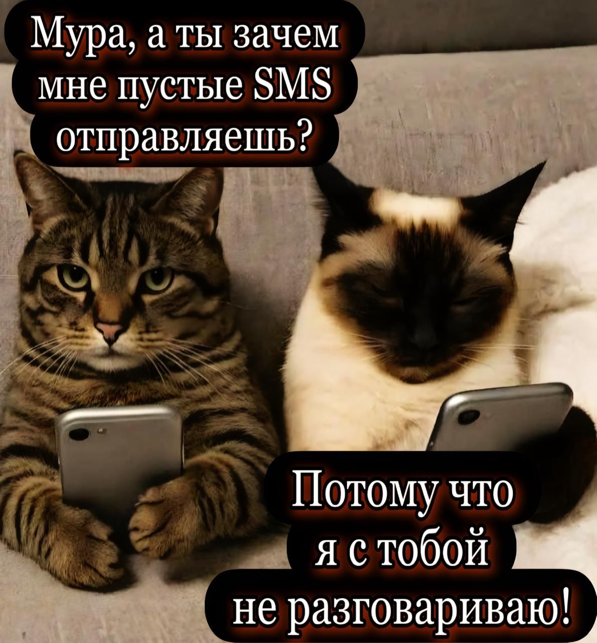 Мура, а ты зачем мне пустые SMS отправляешь? Потому что я с тобой не разговариваю!