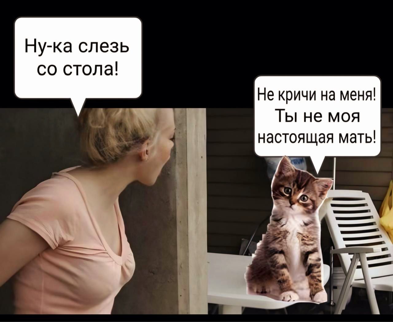 Ну-ка слезь со стола!
Не кричи на меня! Ты не моя настоящая мать!