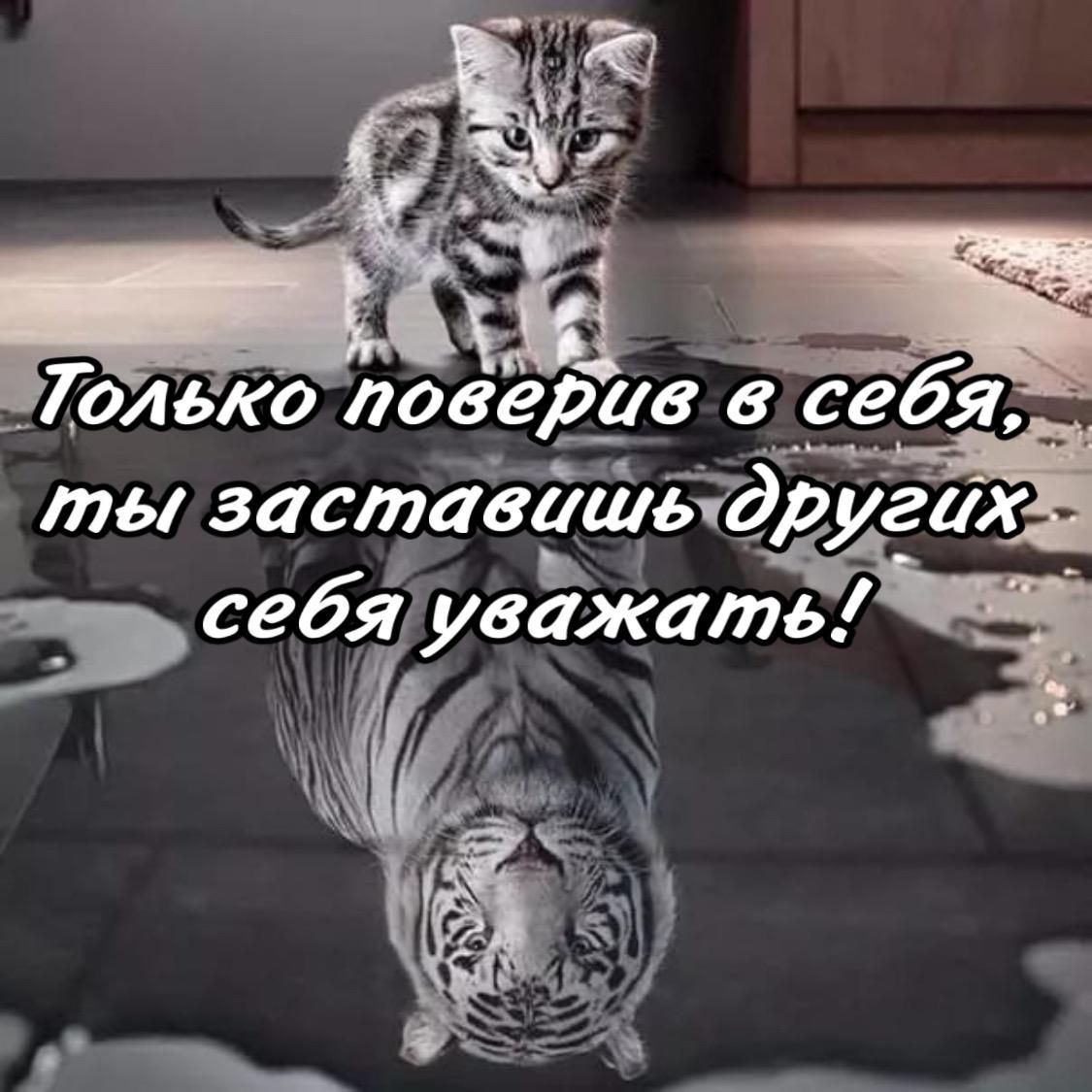 Только поверив в себя, ты заставишь других себя уважать!
