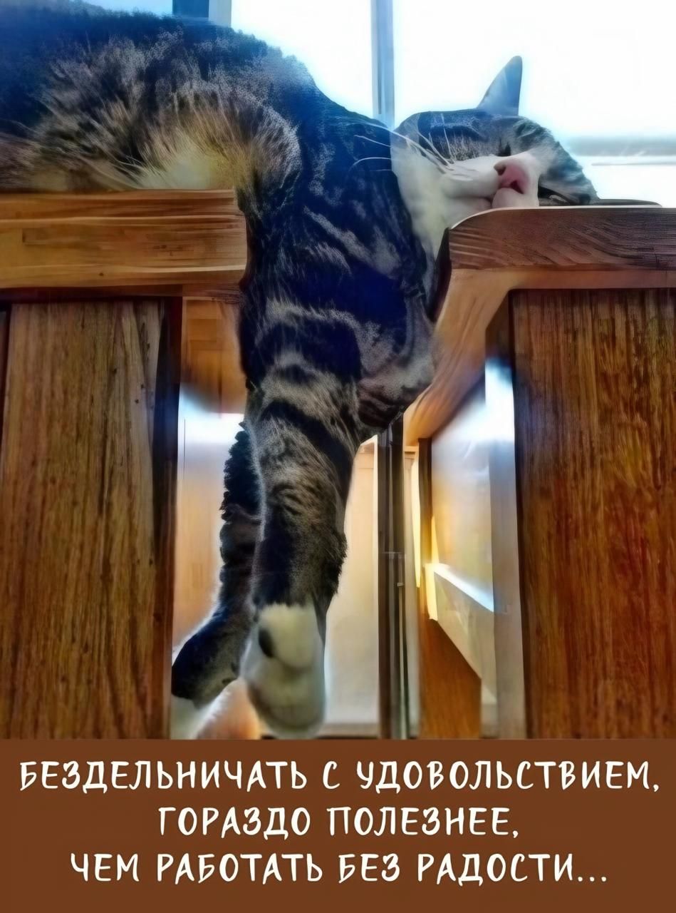 Бездельничать с удовольствием, гораздо полезнее, чем работать без радости...