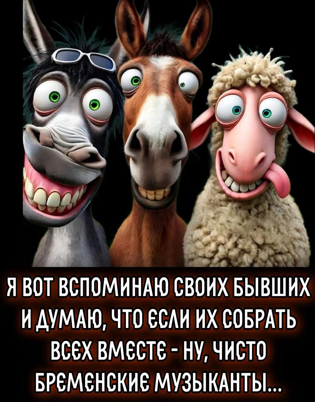 Я вот вспоминаю своих бывших и думаю, что если их собрать всех вместе - ну, чисто бременские музыканты...