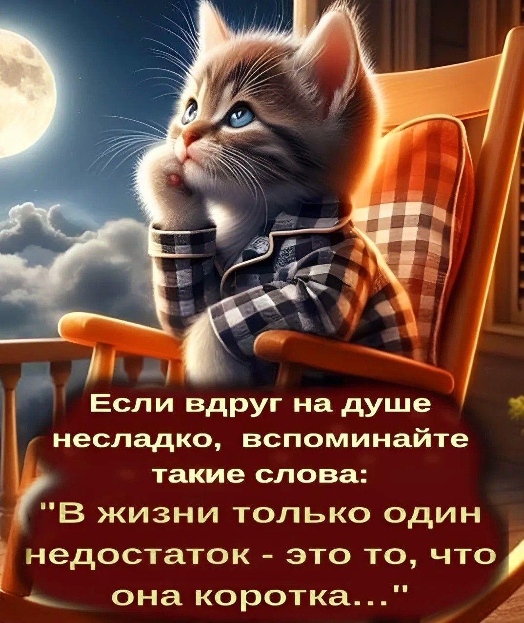 Если вдруг на душе несладко, вспоминайте такие слова: 