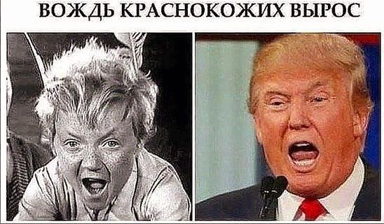 ВОЖДЬ КРАСНОКожИХ ВЫРОС