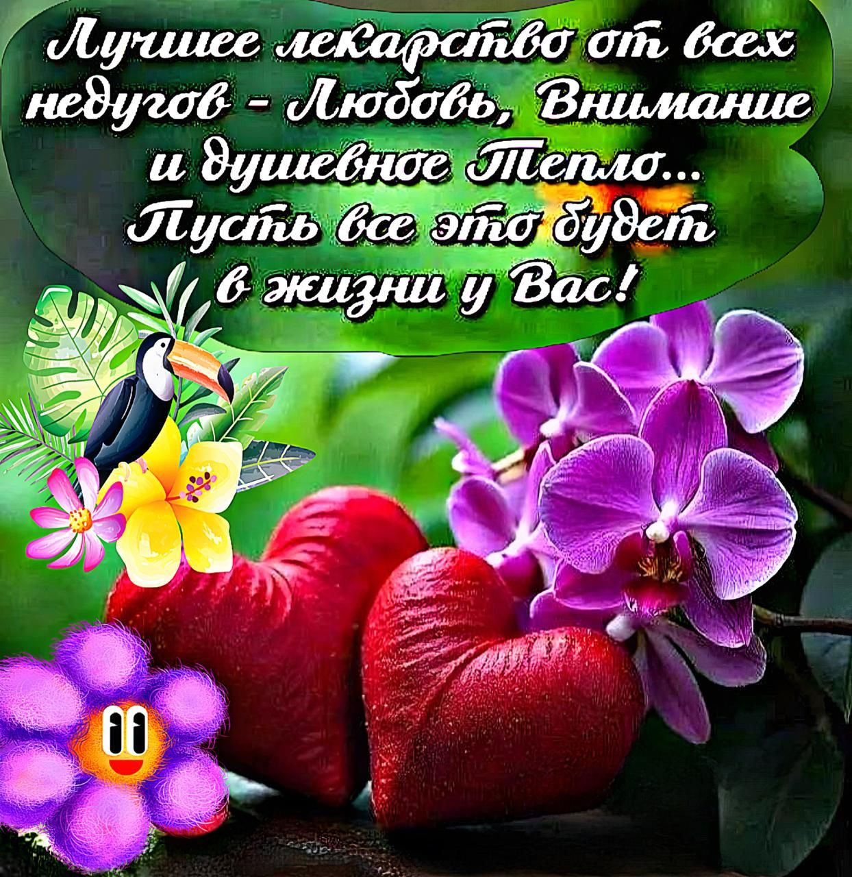Лучшее лекарство от всех недугов - Любовь, Внимание и душевное Тепло... Пусть все это будет в жизни у Вас!