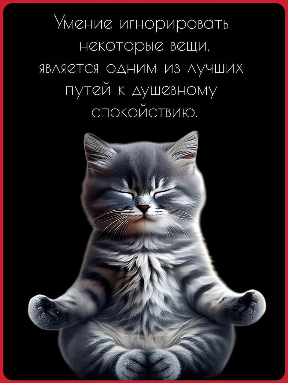 Умение игнорировать некоторые вещи, является одним из лучших путей к душевному спокойствию.