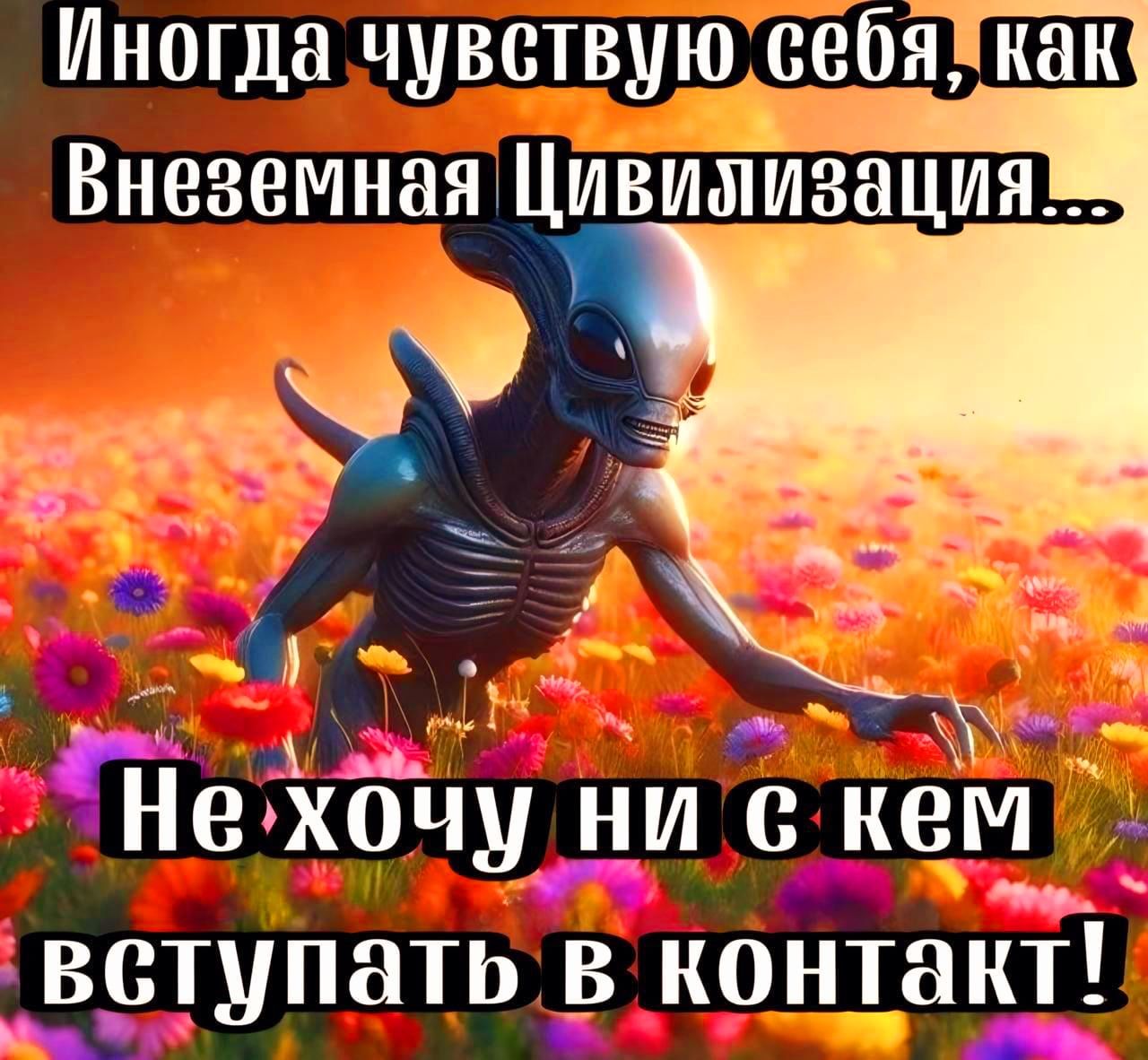 Иногда чувствую себя, как Внеземная Цивилизация... Не хочу ни с кем вступать в контакт!
