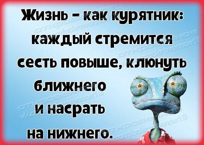 Жизнь - как курятник: каждый стремится сесть повыше, клюнуть ближнего и насрать на нижнего.
