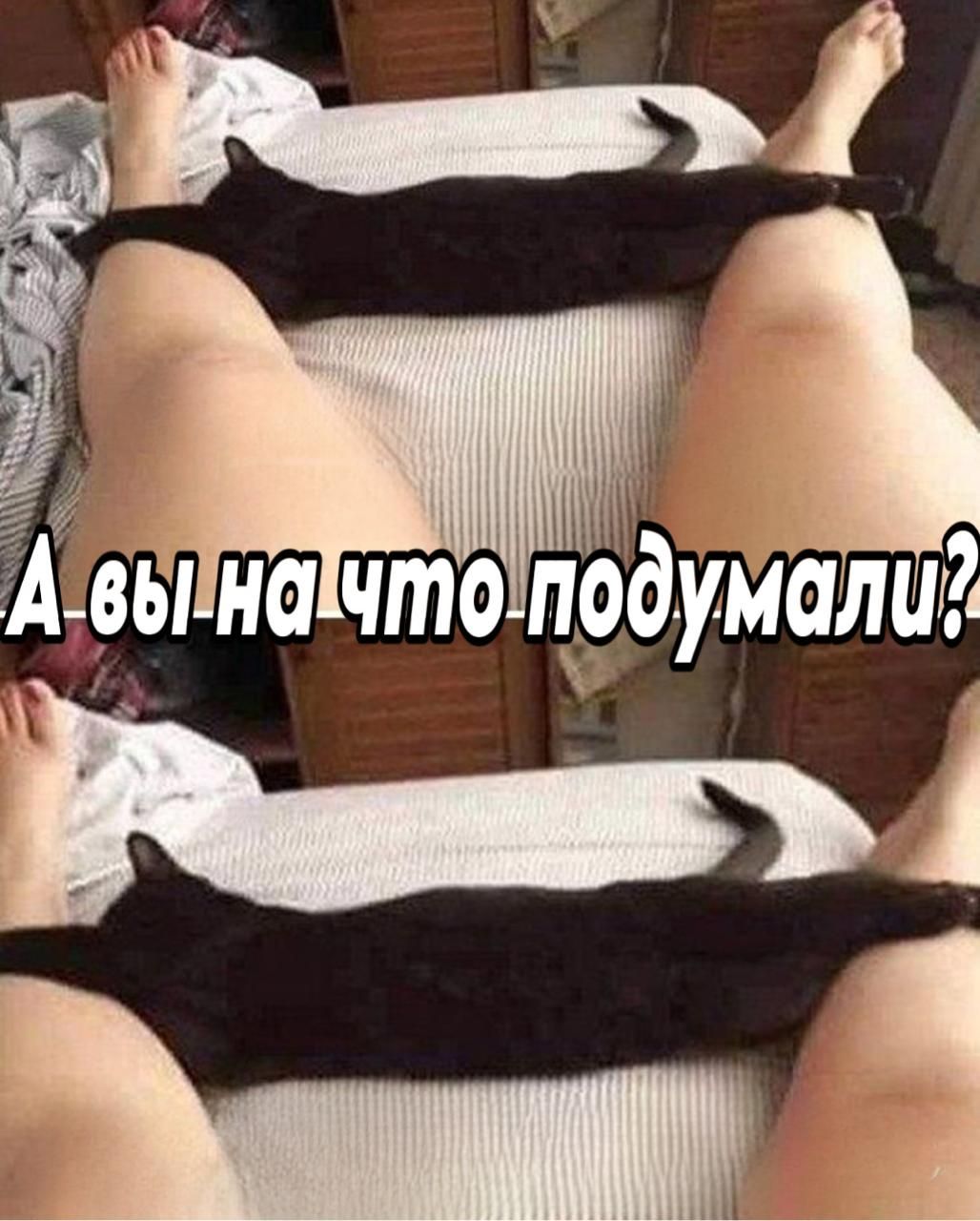 А вы на что подумали?