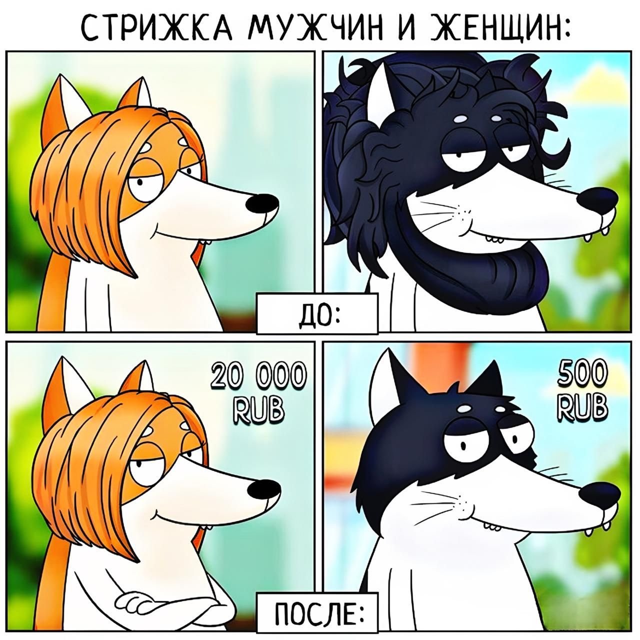 СТРИЖКА МУЖЧИН И ЖЕНЩИН:

До:
20 000 RUB

После:
500 RUB