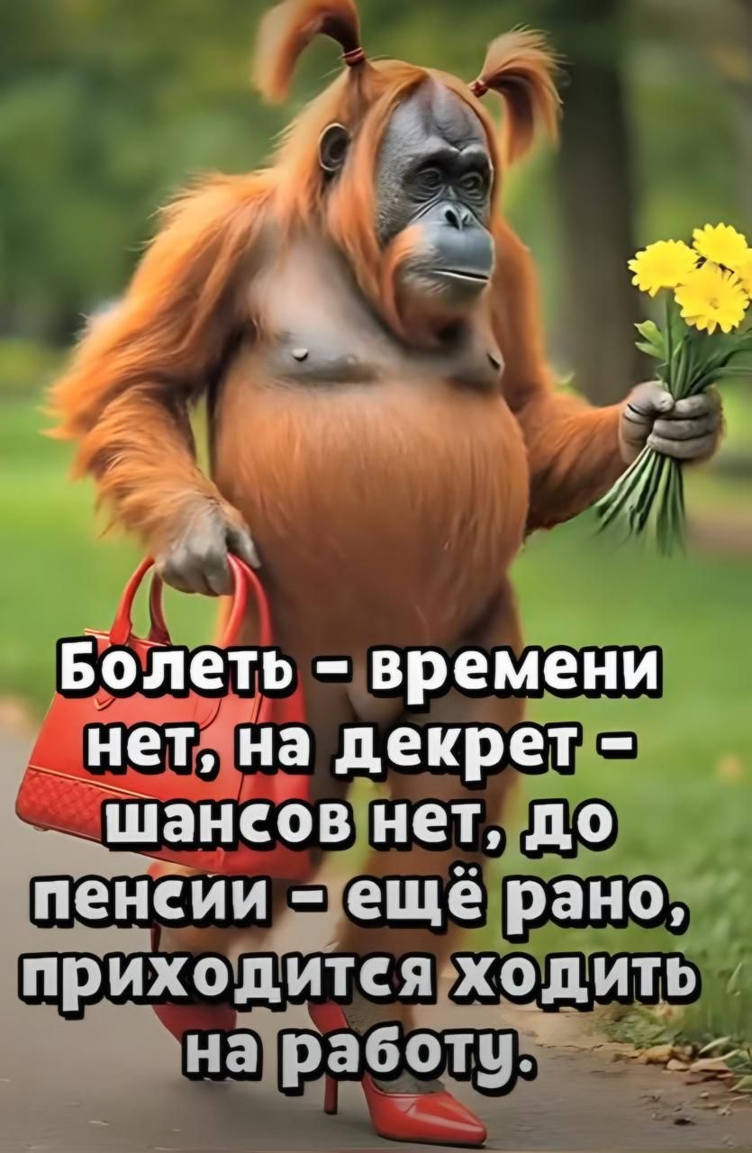 Болеть - времени нет, на декрет - шансов нет, до пенсии - ещё рано, приходится ходить на работу.