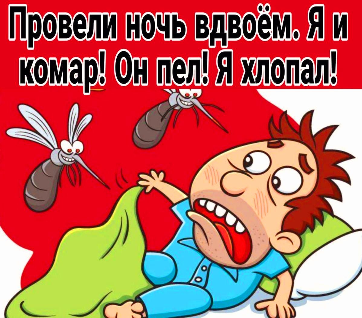 Провели ночь вдвоём. Я и комар! Он пел! Я хлопал!