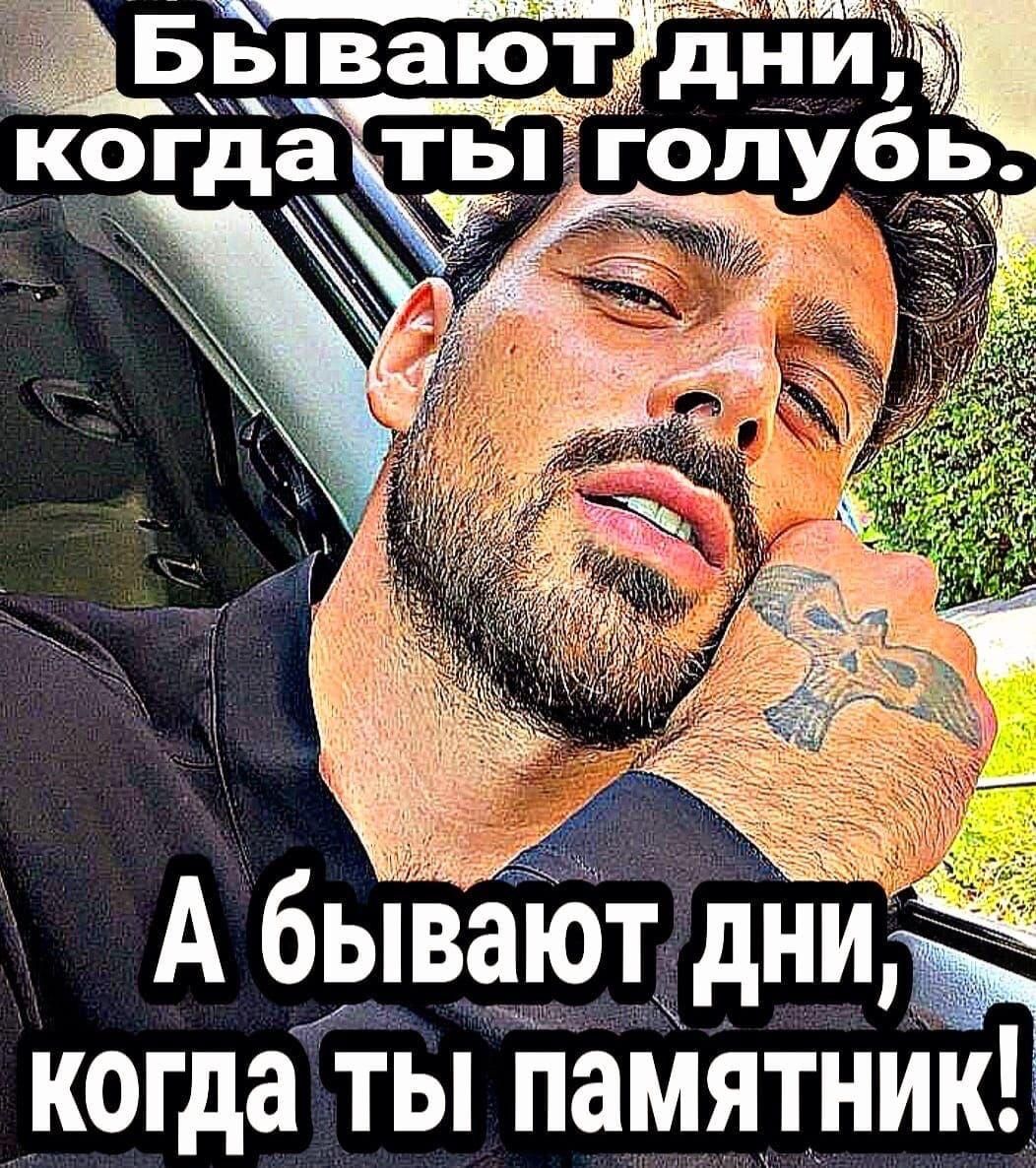 Бывают дни, когда ты голубь. А бывают дни, когда ты памятник!