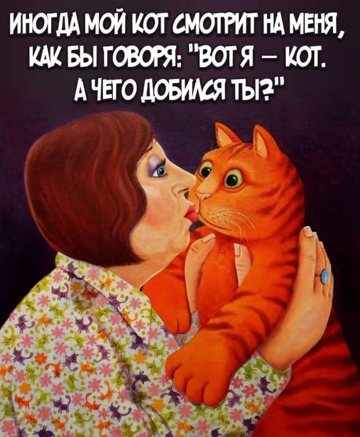 ИНОГДА МОЙ КОТ СМОТРИТ НА МЕНЯ, КАК БЫ ГОВОMЯ: 