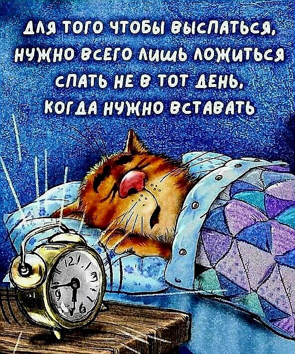 ДЛЯ ТОГО ЧТОБЫ ВЫСПАТЬСЯ, НУЖНО ВСЕГО ЛИШЬ ЛОЖИТЬСЯ СПАТЬ НЕ В ТОТ ДЕНЬ, КОГДА НУЖНО ВСТАВАТЬ