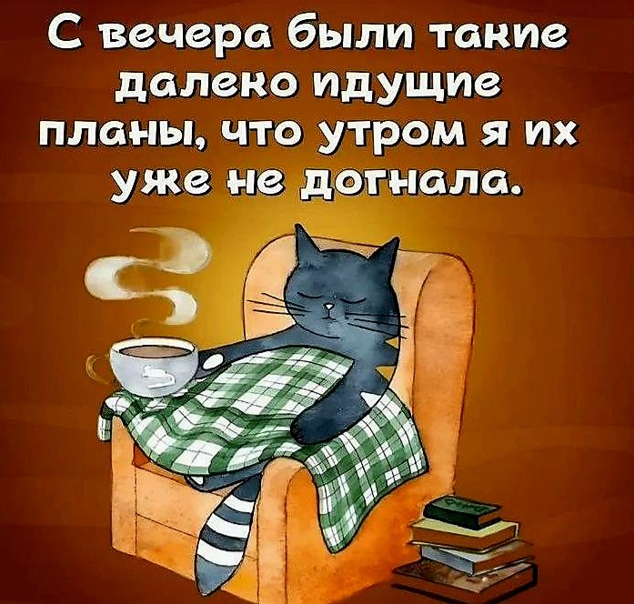С вечера были такие далеко идущие планы, что утром я их уже не догнала.