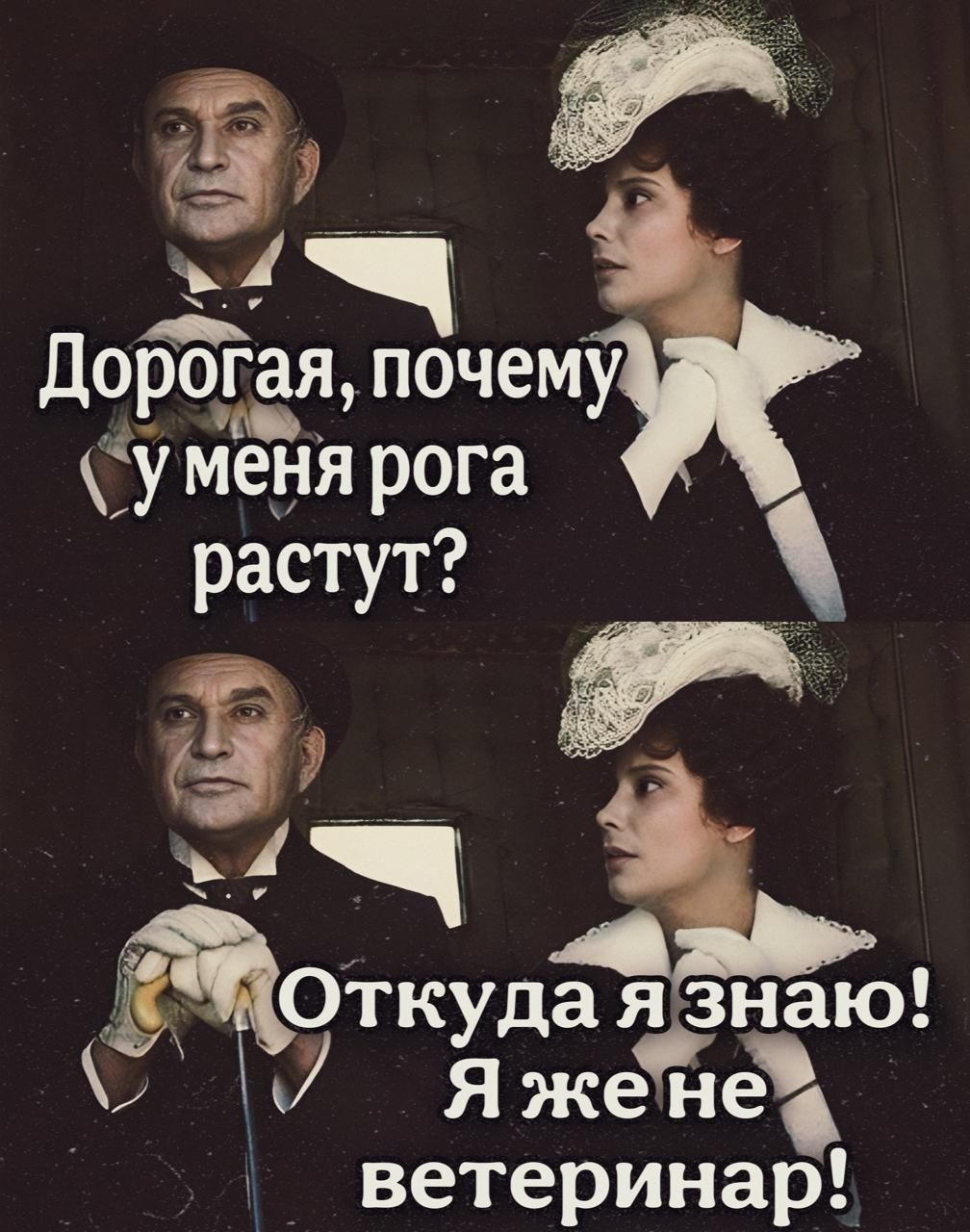Дорогая, почему у меня рога растут? Откуда я знаю! Я же не ветеринар!