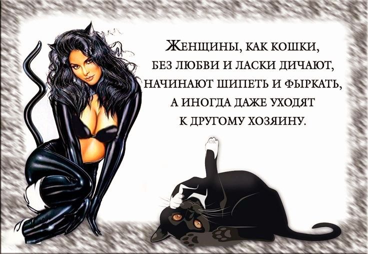 Женщины, как кошки, без любви и ласки дичают, начинают шипеть и фыркать, а иногда даже уходят к другому хозяину.