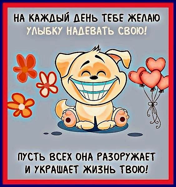 НА КАЖДЫЙ ДЕНЬ ТЕБЕ ЖЕЛАЮ УЛЫБКУ НАДЕВАТЬ СВОЮ! ПУСТЬ ВСЕХ ОНА РАЗОРАЖАЕТ И УКРАШАЕТ ЖИЗНЬ ТВОЮ!