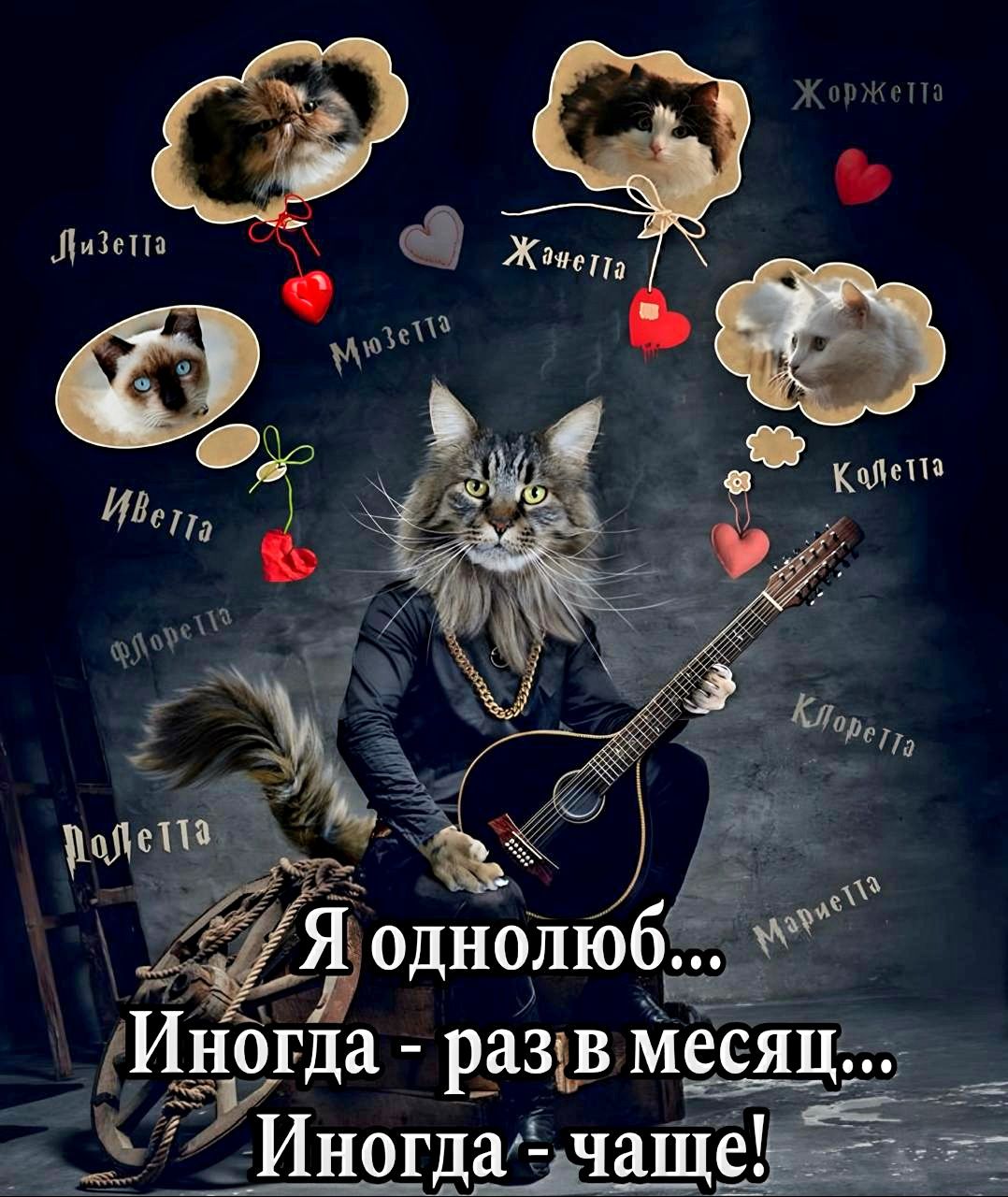 Я однолюб... Иногда - раз в месяц... Иногда - чаще!