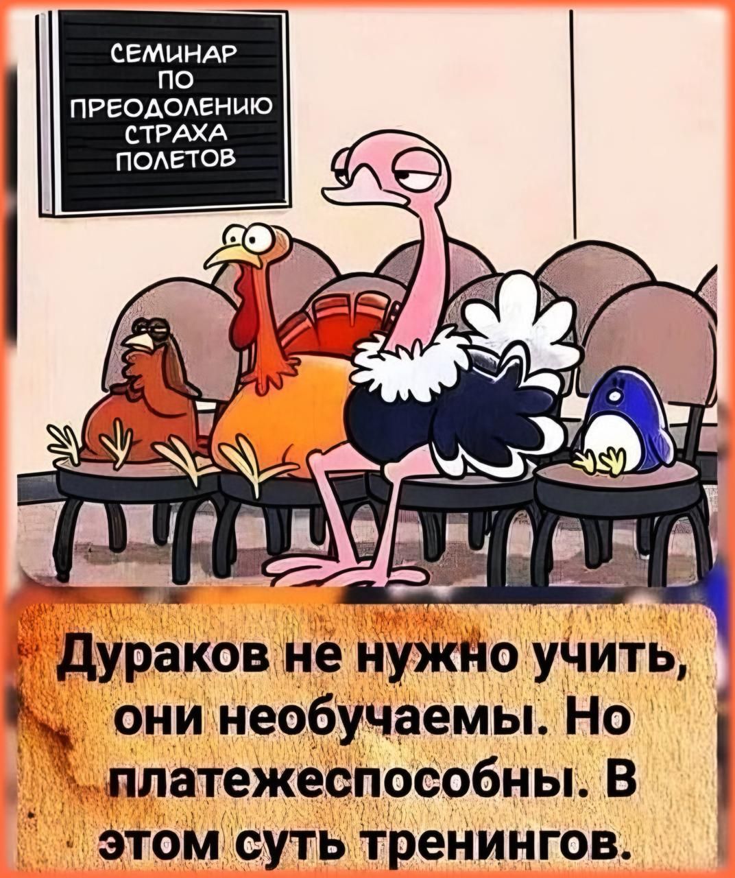 Дураков не нужно учить, они необучаемы. Но платёжеспособны. В этом суть тренировок.