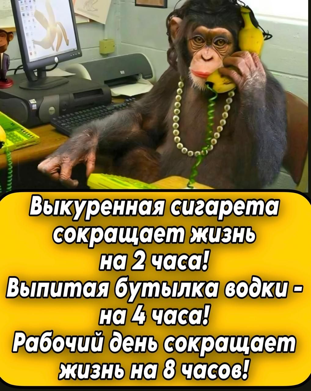 Выкуренная сигарета сокращает жизнь на 2 часа! Выпитая бутылка водки - на 4 часа! Рабочий день сокращает жизнь на 8 часов!