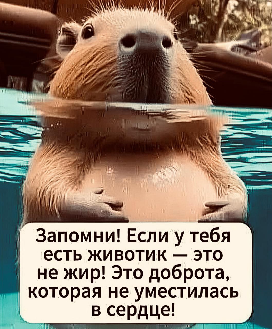 Запомни! Если у тебя есть животик — это не жир! Это доброта, которая не уместилась в сердце!