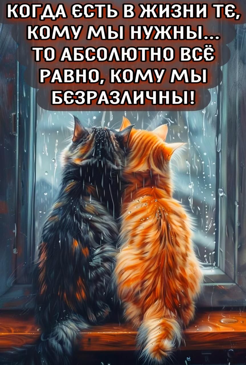 КОГДА ЕСТЬ В ЖИЗНИ ТЕ, КОМУ МЫ НУЖНЫ... ТО ABSOLЮТНО ВСЁ РАВНО, КОМУ МЫ БЕЗРАЗЛИЧНЫ!