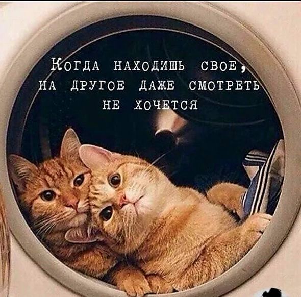 Когда находишь своё, на другое даже смотреть не хочется