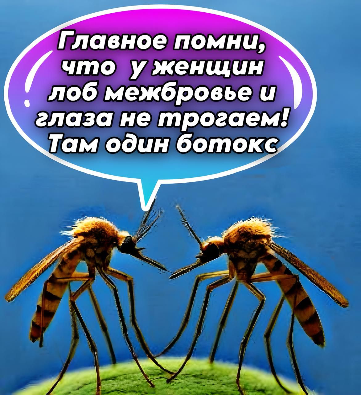 Главное помни, что у женщин лоб, межбровье и глаза не трогаем! Там один ботокс.