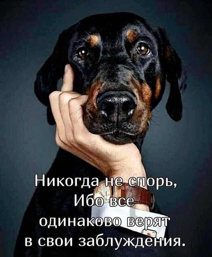 Никогда не спорь, Ибо все одинаково верят в свои заблуждения.