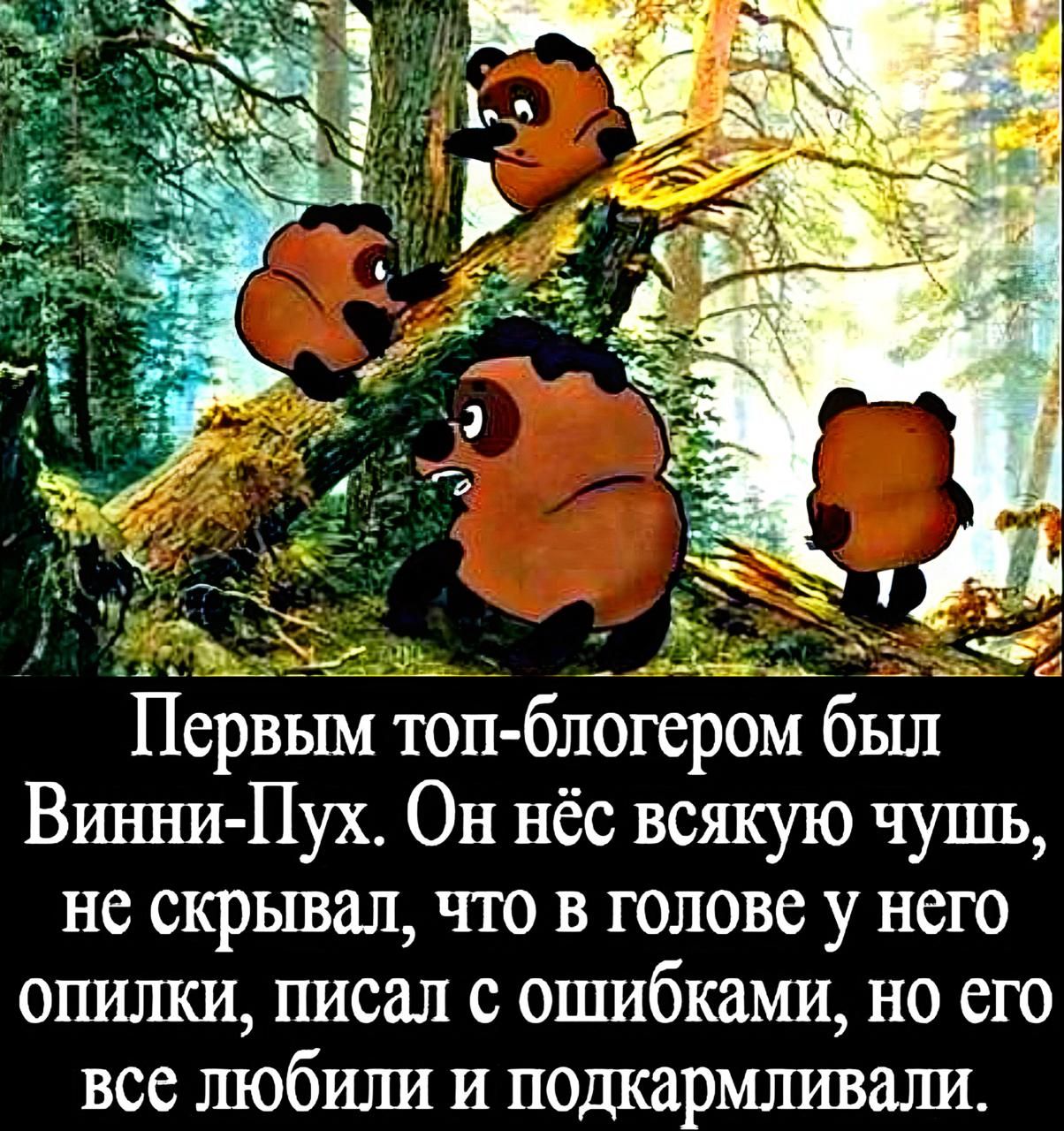 Первым топ-блогером был Винни-Пух. Он нёс всякую чушь, не скрывал, что в голове у него опилки, писал с ошибками, но его все любили и подкармливали.