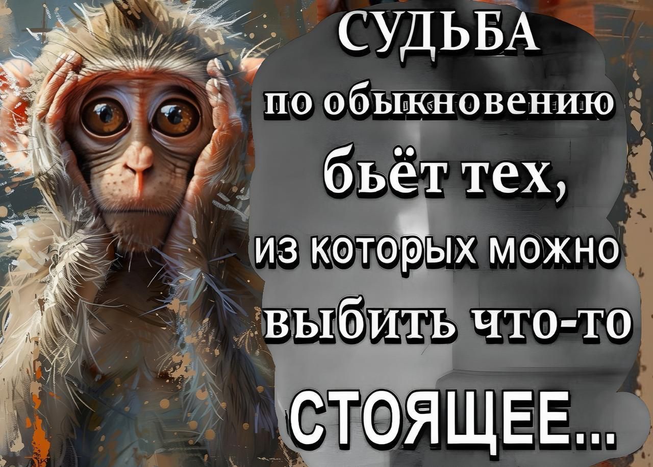 СУДЬБА по обыкновению бьёт тех, из которых можно выбить что-то СТОЯЩЕЕ...