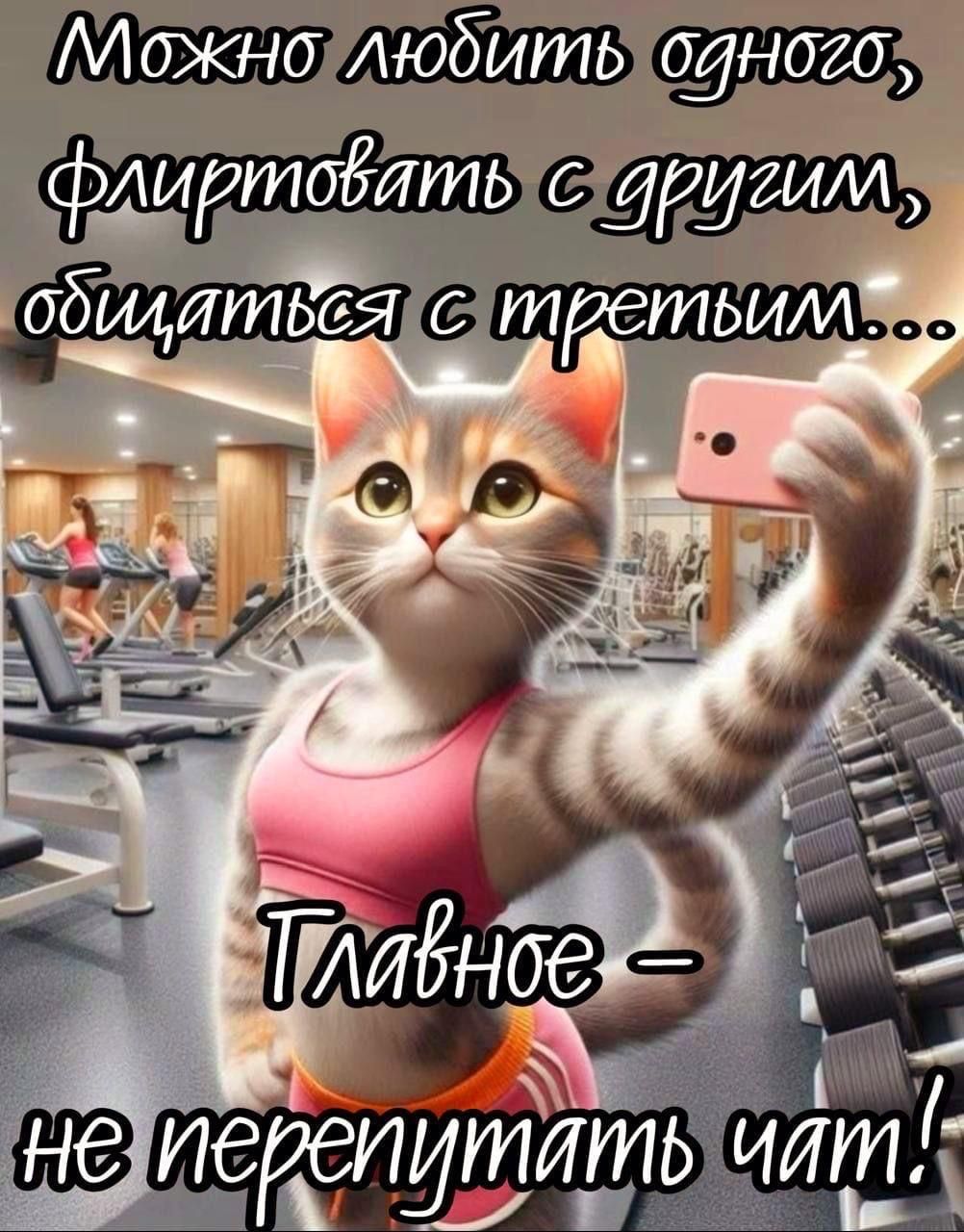 Можно любить одного, флиртовать с другим, общаться с третьим...
Главное – не перепутать чат!