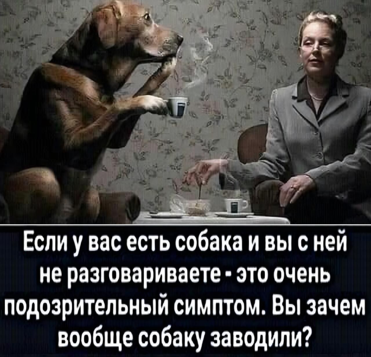 Если у вас есть собака и вы с ней не разговариваете - это очень подозрительный симптом. Вы зачем вообще собаку завели?