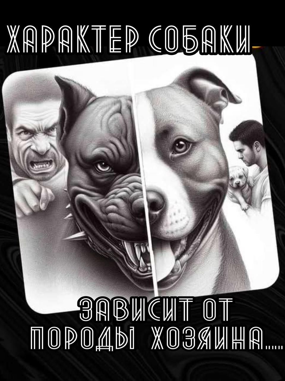 ХАРАКТЕР СОБАКИ ЗАВИСИТ ОТ ПОРОДЫ ХОЗЯИНА....