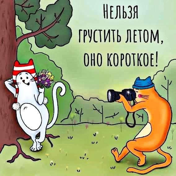 Нельзя грустить летом, оно короткое!