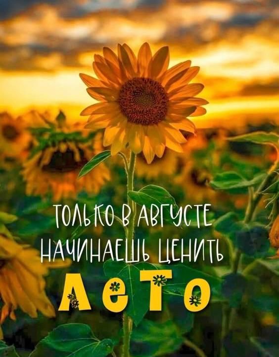 Только в августе начинаешь ценить лето