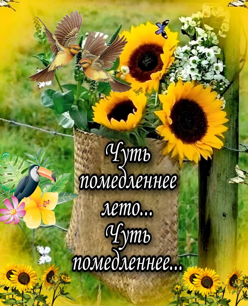 Чуть помедленнее лето... Чуть помедленнее...