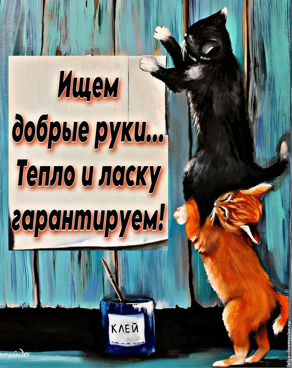 Ищем добрые руки... Тепло и ласку гарантируем!