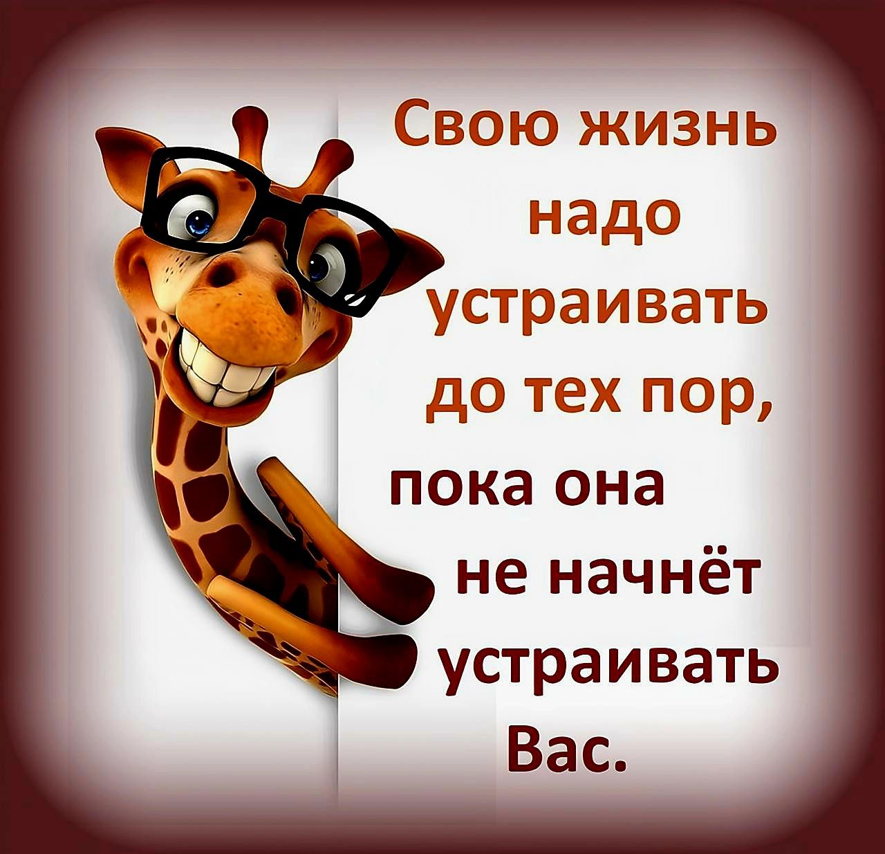 Свою жизнь надо устраивать до тех пор, пока она не начнёт устраивать Вас.