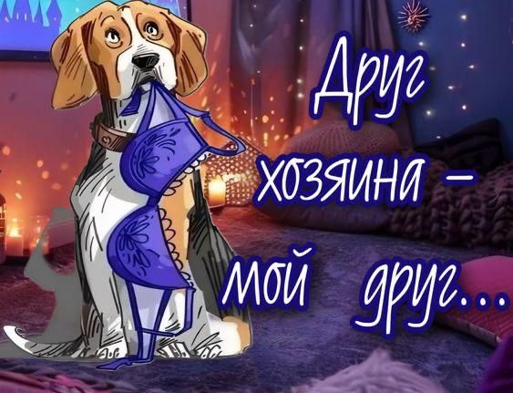Друг хозяина – мой друг...
