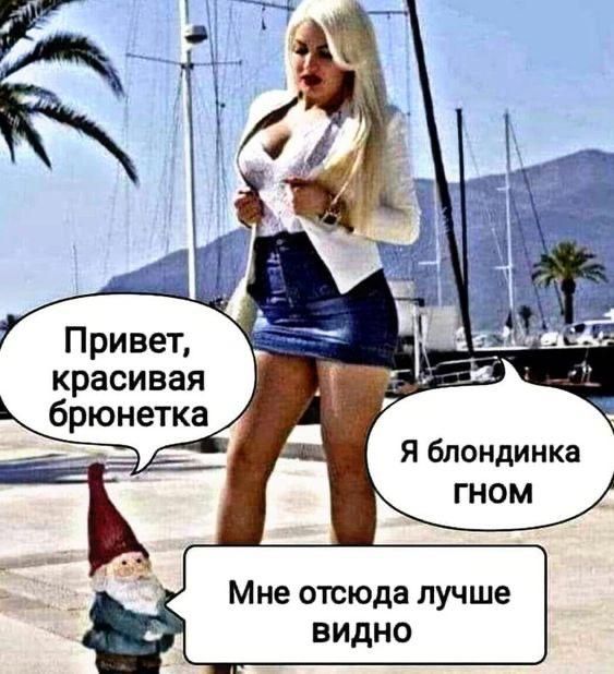 Привет, красивая брюнетка
Я блондинка гном
Мне отсюда лучше видно