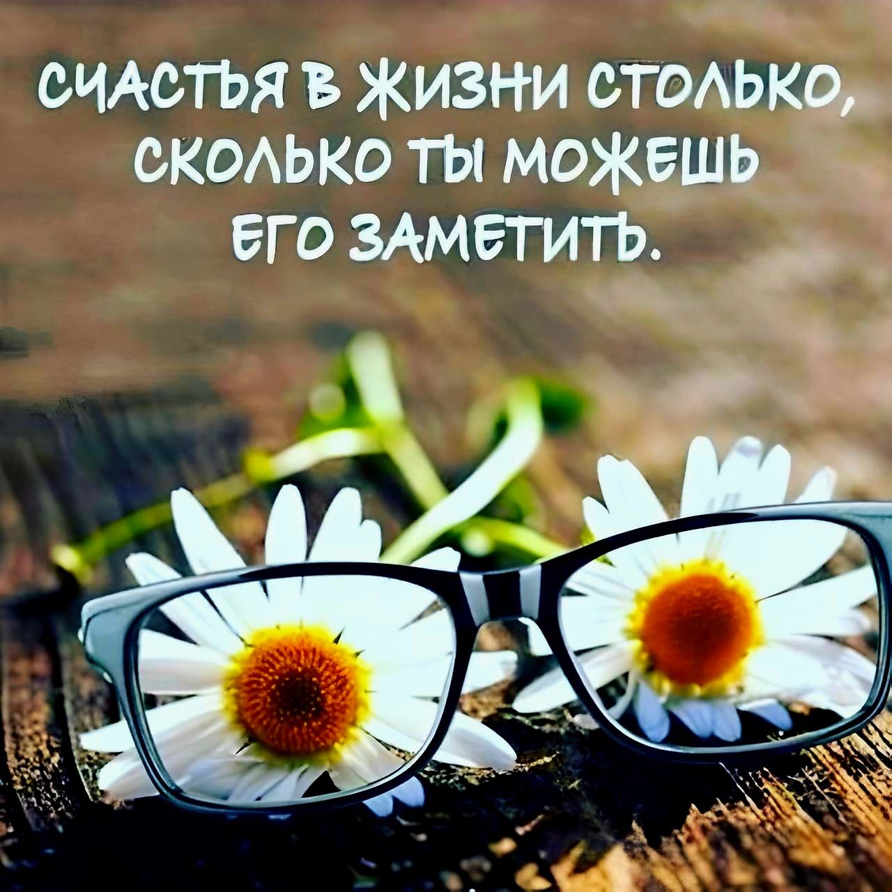 Счастья в жизни столько, сколько ты можешь его заметить.